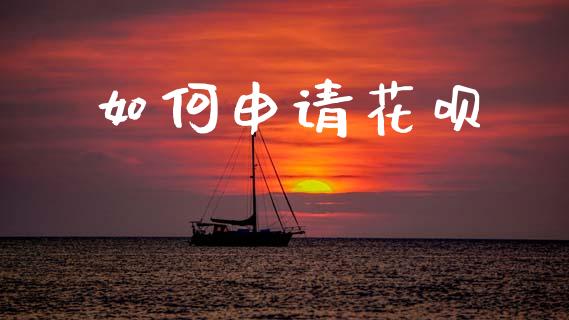 如何申请花呗_https://m.jnlaobingbanjia.com_理财规划_第1张
