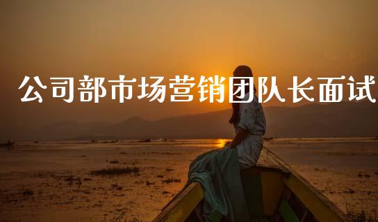 公司部市场营销团队长面试_https://m.jnlaobingbanjia.com_区块链_第1张
