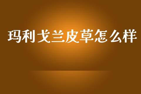 玛利戈兰皮草怎么样_https://m.jnlaobingbanjia.com_股市新闻_第1张