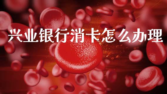 兴业银行消卡怎么办理_https://m.jnlaobingbanjia.com_全球市场_第1张