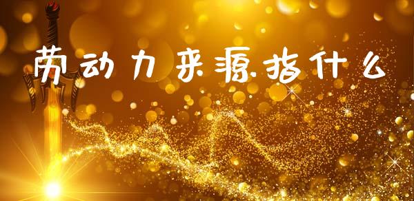 劳动力来源指什么_https://m.jnlaobingbanjia.com_基金市场_第1张