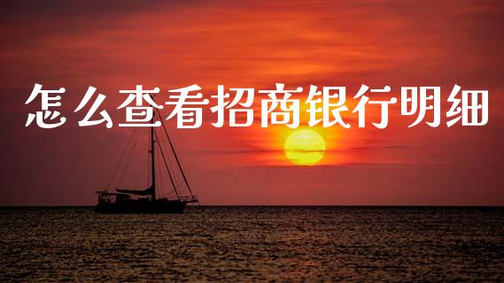 怎么查看招商银行明细_https://m.jnlaobingbanjia.com_区块链_第1张
