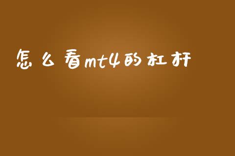 怎么看mt4的杠杆_https://m.jnlaobingbanjia.com_全球市场_第1张