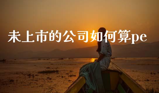 未上市的公司如何算pe_https://m.jnlaobingbanjia.com_全球市场_第1张