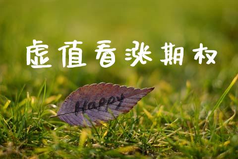 虚值看涨期权_https://m.jnlaobingbanjia.com_基金市场_第1张