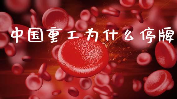 中国重工为什么停牌_https://m.jnlaobingbanjia.com_基金市场_第1张