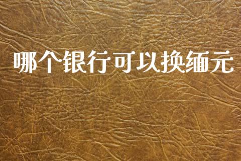 哪个银行可以换缅元_https://m.jnlaobingbanjia.com_理财规划_第1张