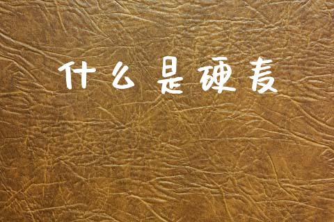 什么是硬麦_https://m.jnlaobingbanjia.com_金融监管_第1张