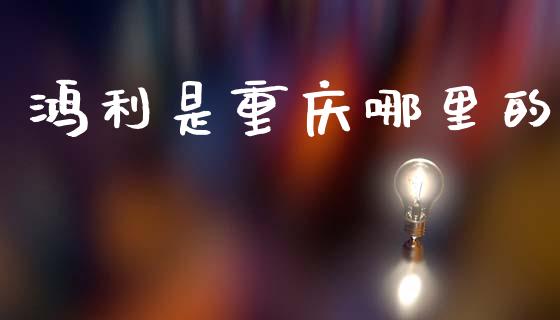 鸿利是重庆哪里的_https://m.jnlaobingbanjia.com_金融监管_第1张