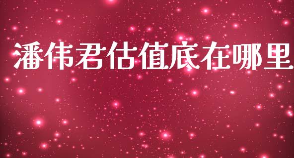 潘伟君估值底在哪里_https://m.jnlaobingbanjia.com_股市新闻_第1张
