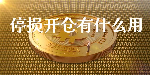 停损开仓有什么用_https://m.jnlaobingbanjia.com_全球市场_第1张