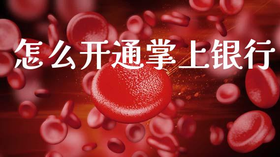 怎么开通掌上银行_https://m.jnlaobingbanjia.com_股市新闻_第1张