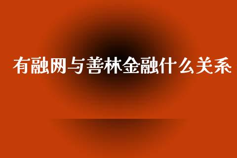 有融网与善林金融什么关系_https://m.jnlaobingbanjia.com_基金市场_第1张