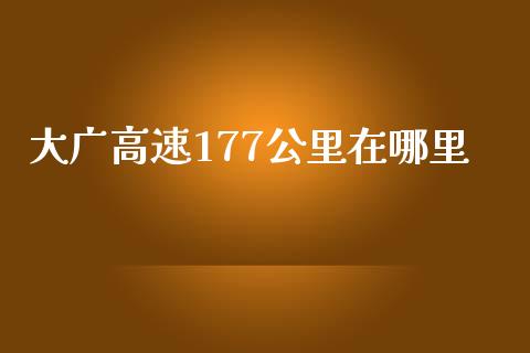 大广高速177公里在哪里_https://m.jnlaobingbanjia.com_理财规划_第1张