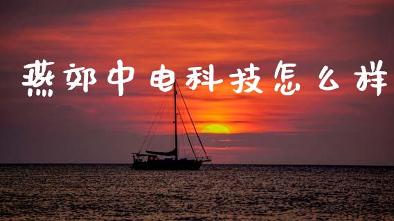 燕郊中电科技怎么样_https://m.jnlaobingbanjia.com_理财规划_第1张