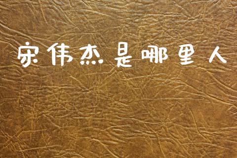 宋伟杰是哪里人_https://m.jnlaobingbanjia.com_金融监管_第1张