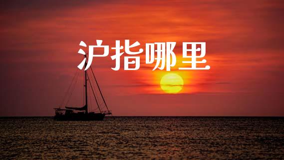 沪指哪里_https://m.jnlaobingbanjia.com_金融监管_第1张