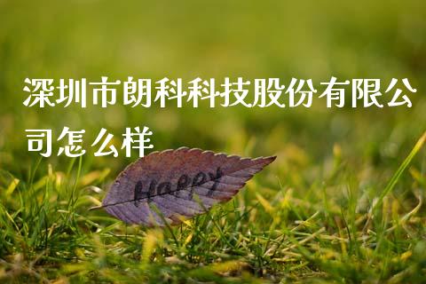 深圳市朗科科技股份有限公司怎么样_https://m.jnlaobingbanjia.com_基金市场_第1张