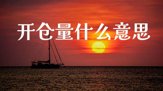 开仓量什么意思_https://m.jnlaobingbanjia.com_金融监管_第1张