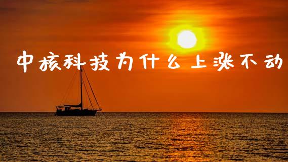 中核科技为什么上涨不动_https://m.jnlaobingbanjia.com_区块链_第1张