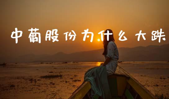中葡股份为什么大跌_https://m.jnlaobingbanjia.com_金融监管_第1张