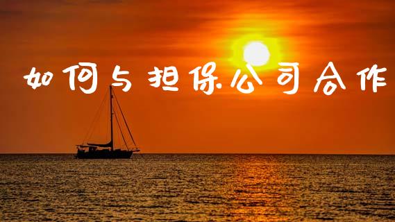 如何与担保公司合作_https://m.jnlaobingbanjia.com_理财规划_第1张