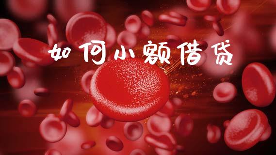如何小额借贷_https://m.jnlaobingbanjia.com_全球市场_第1张