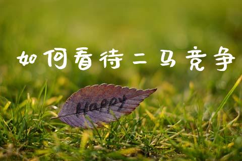 如何看待二马竞争_https://m.jnlaobingbanjia.com_金融监管_第1张