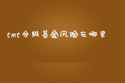 tmt分级基金风险在哪里_https://m.jnlaobingbanjia.com_区块链_第1张