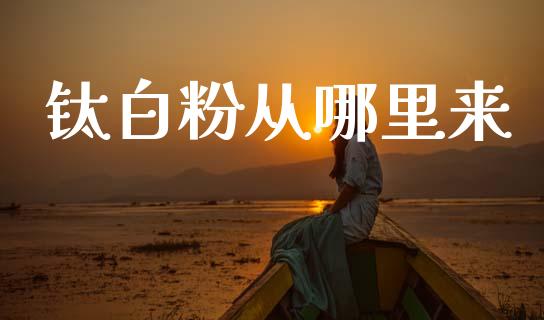 钛白粉从哪里来_https://m.jnlaobingbanjia.com_全球市场_第1张