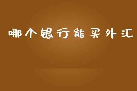 哪个银行能买外汇_https://m.jnlaobingbanjia.com_区块链_第1张