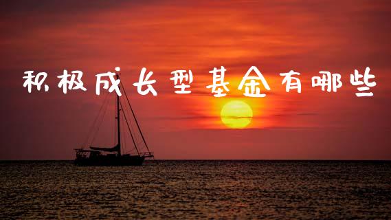 积极成长型基金有哪些_https://m.jnlaobingbanjia.com_区块链_第1张