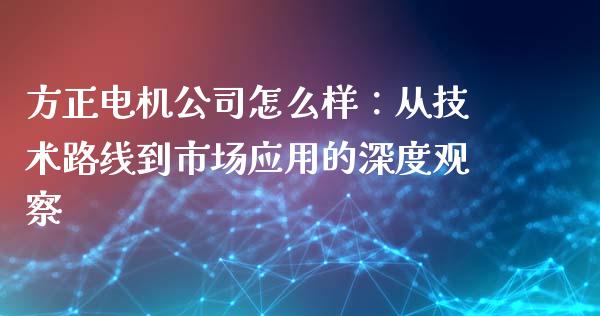 方正电机公司怎么样：从技术路线到市场应用的深度观察_https://m.jnlaobingbanjia.com_金融监管_第1张