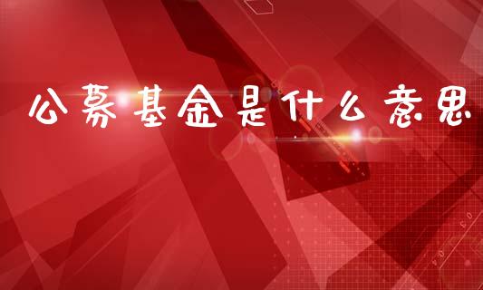 公募基金是什么意思_https://m.jnlaobingbanjia.com_区块链_第1张
