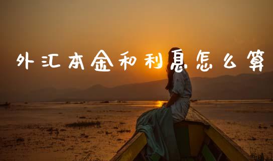 外汇本金和利息怎么算_https://m.jnlaobingbanjia.com_理财规划_第1张