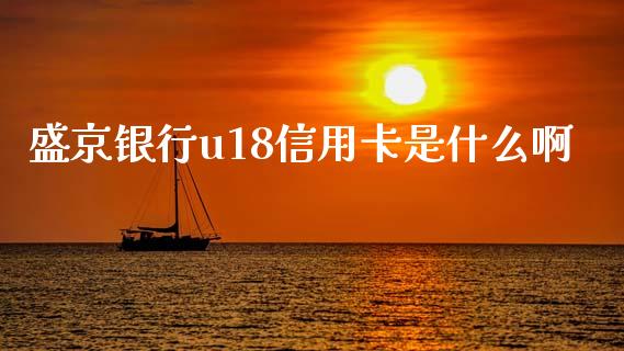 盛京银行u18信用卡是什么啊_https://m.jnlaobingbanjia.com_基金市场_第1张