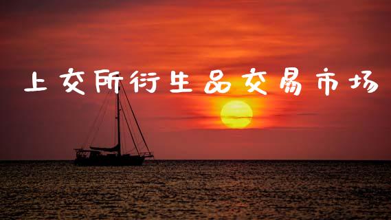 上交所衍生品交易市场_https://m.jnlaobingbanjia.com_理财规划_第1张