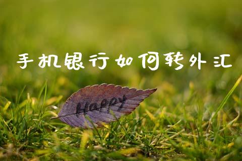 手机银行如何转外汇_https://m.jnlaobingbanjia.com_理财规划_第1张