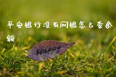 平安银行没有网银怎么查余额_https://m.jnlaobingbanjia.com_金融监管_第1张