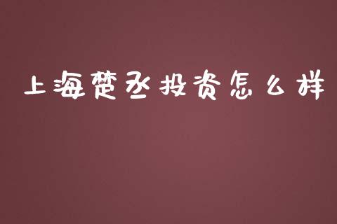 上海楚丞投资怎么样_https://m.jnlaobingbanjia.com_基金市场_第1张