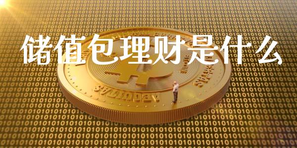 储值包理财是什么_https://m.jnlaobingbanjia.com_区块链_第1张