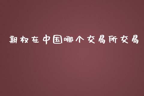 期权在中国哪个交易所交易_https://m.jnlaobingbanjia.com_全球市场_第1张