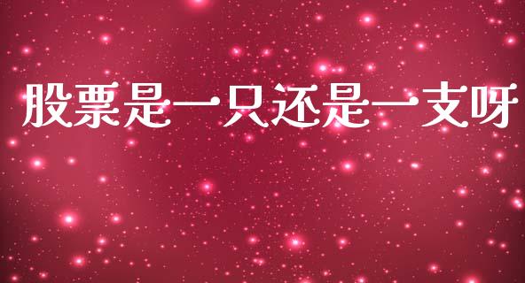 股票是一只还是一支呀_https://m.jnlaobingbanjia.com_金融监管_第1张