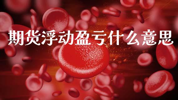 期货浮动盈亏什么意思_https://m.jnlaobingbanjia.com_基金市场_第1张
