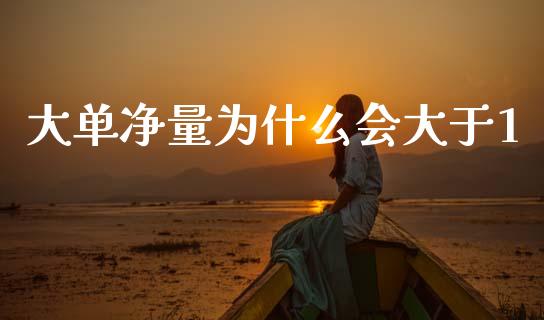 大单净量为什么会大于1_https://m.jnlaobingbanjia.com_基金市场_第1张