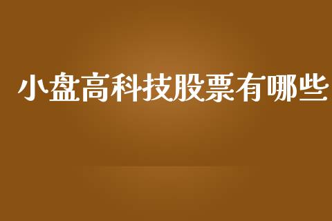 小盘高科技股票有哪些_https://m.jnlaobingbanjia.com_金融监管_第1张