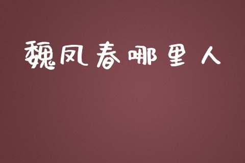 魏凤春哪里人_https://m.jnlaobingbanjia.com_全球市场_第1张