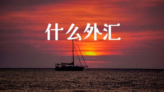 什么外汇_https://m.jnlaobingbanjia.com_基金市场_第1张