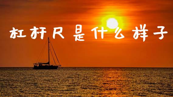 杠杆尺是什么样子_https://m.jnlaobingbanjia.com_区块链_第1张