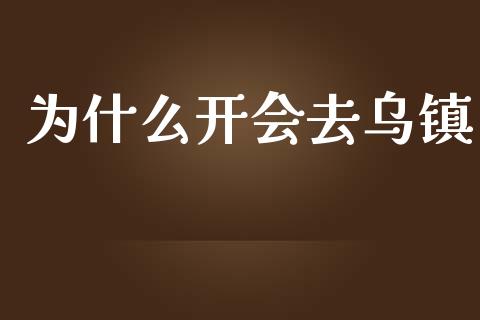 为什么开会去乌镇_https://m.jnlaobingbanjia.com_金融监管_第1张